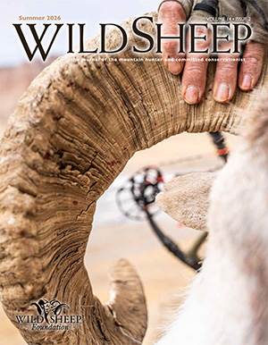 Wild Sheep Magazine Summer 2026 Cover